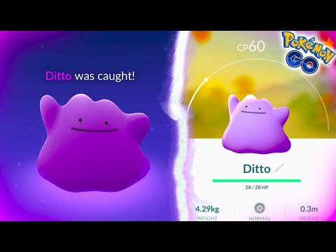 PokemonGoGlitch's tweet photo. CATCHING A WILD DITTO IN POKEMON GO! HOW TO CATCH A DITTO! – #PokemonGo #PokemonGoTricks… https://t.co/hlSRLlTZxw https://t.co/GykSnrH6pU