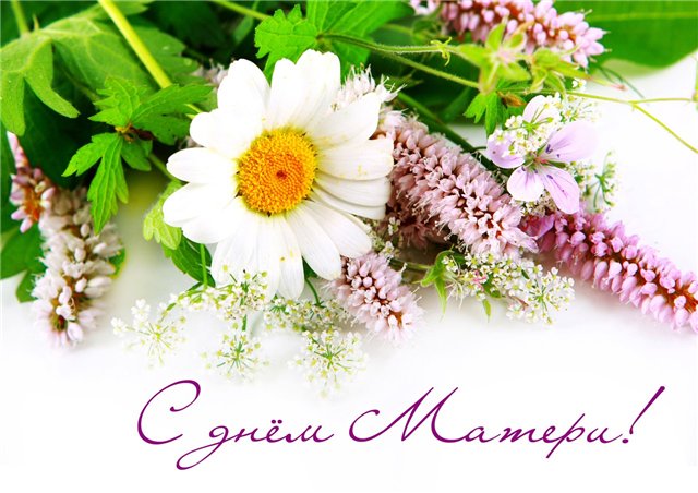 Левина Марина (@levinamv) on Twitter photo 
