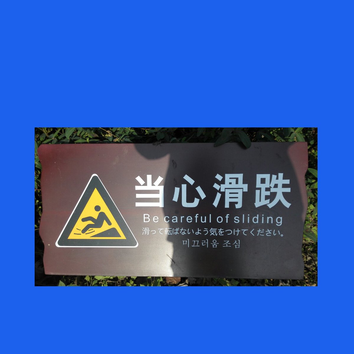 Yilia86's tweet photo. Watch it.#watchdog #ItsNotSaturdayNightUntil #watchit #BlueJays #unhappy #today #TONIGHT #omgb #Tbt #omfg #morningmusume16 #goodmorning https://t.co/tqjVQ3h7GW
