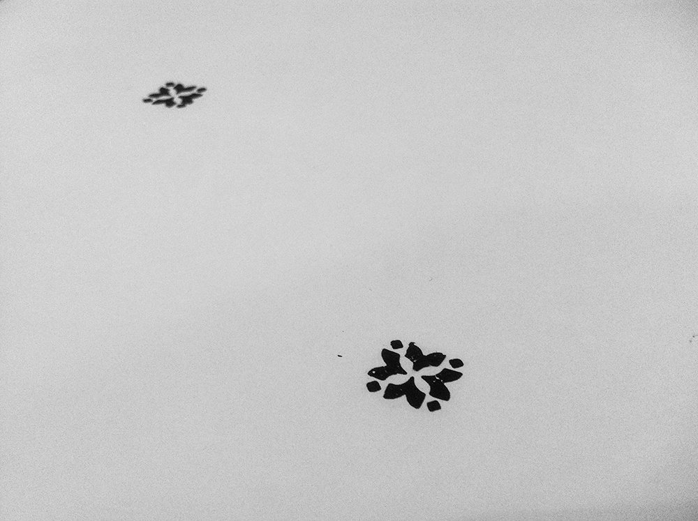 cafeletraset's tweet photo. #لتراست https://t.co/GVXEXQ2oX0