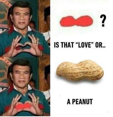 SpeedyAUT's tweet photo. @PeanutVertu is my love ❤😘😂😂 https://t.co/bTB1X0sI85