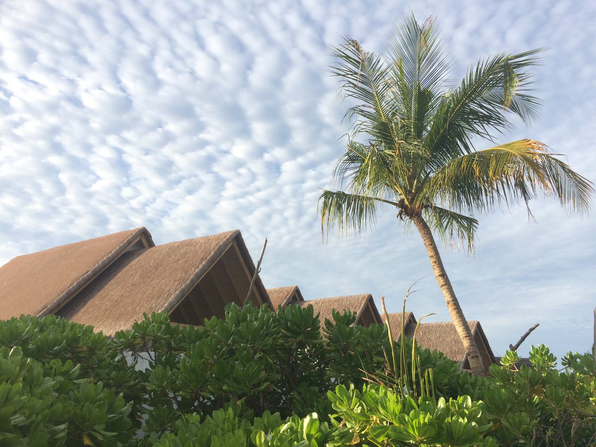 AvelinMv's tweet photo. Fushifaru Maldives ✌🏿️ https://t.co/R2XFbKIPqY