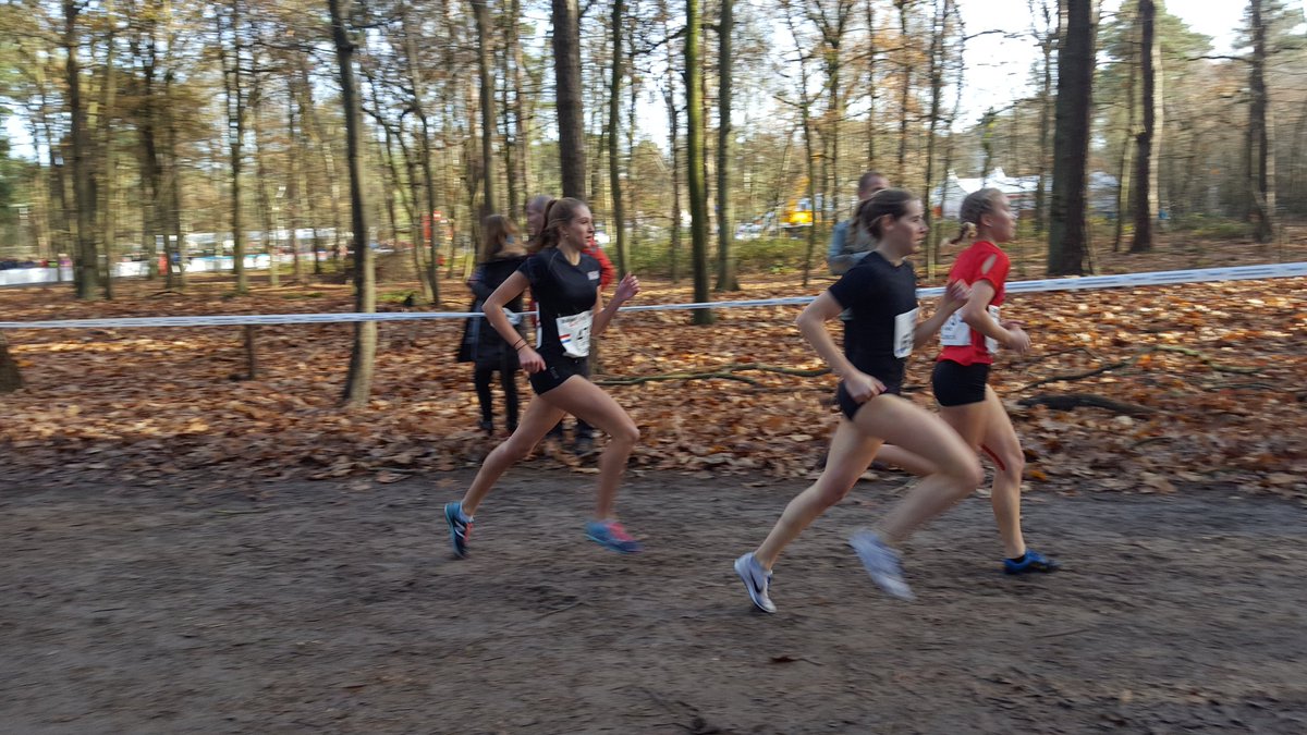 floortjekusx's tweet photo. Trotse zus! 22e op de sprintcross #wl2016 #crosscountry https://t.co/CXsnoQjvox