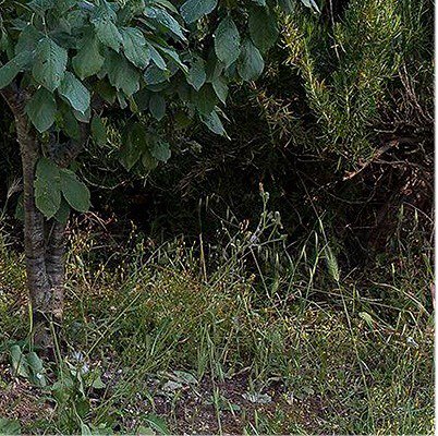 LABFOTOGRAFIA's tweet photo. Ph. @franccolella _

Southern Photographs 02
workshop with Zed Nelson 
Cisternino, 2012
#L… https://t.co/Mw3sWPOSfi https://t.co/hxCJCfak4u