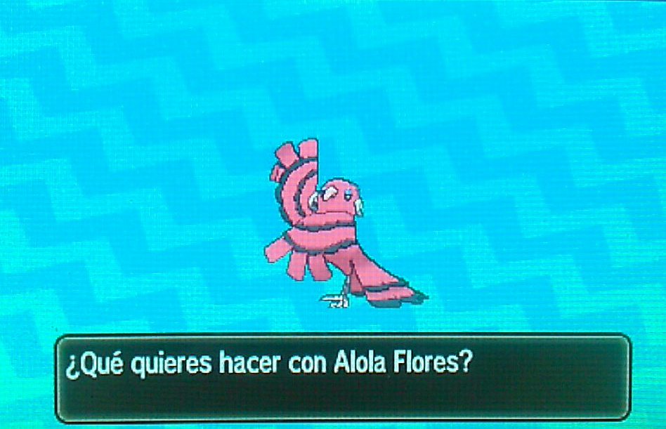 Álvaro. tweet media