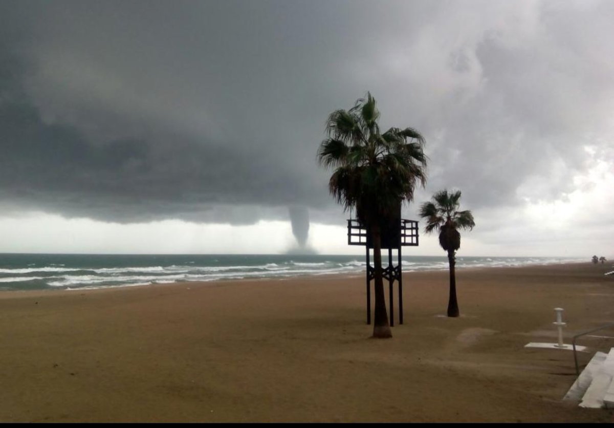 ColeradelViento's tweet photo. Esto es lo que nos encontramos al ir a surfear hoy y pensamos: Pues habrá que ir a coger unas olas, no? 😁✌️
https://t.co/hkdrkyY9j5 https://t.co/nns7DAaKLc