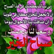 SayedFathe1's tweet image. 