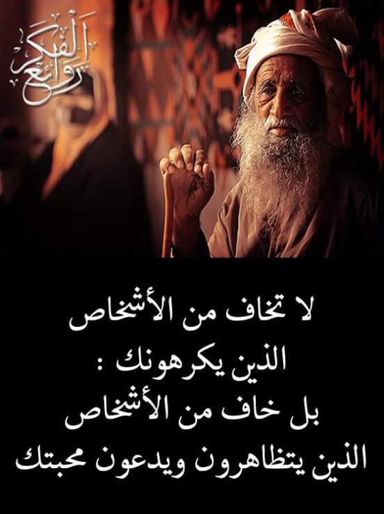 SayedFathe1's tweet image. 