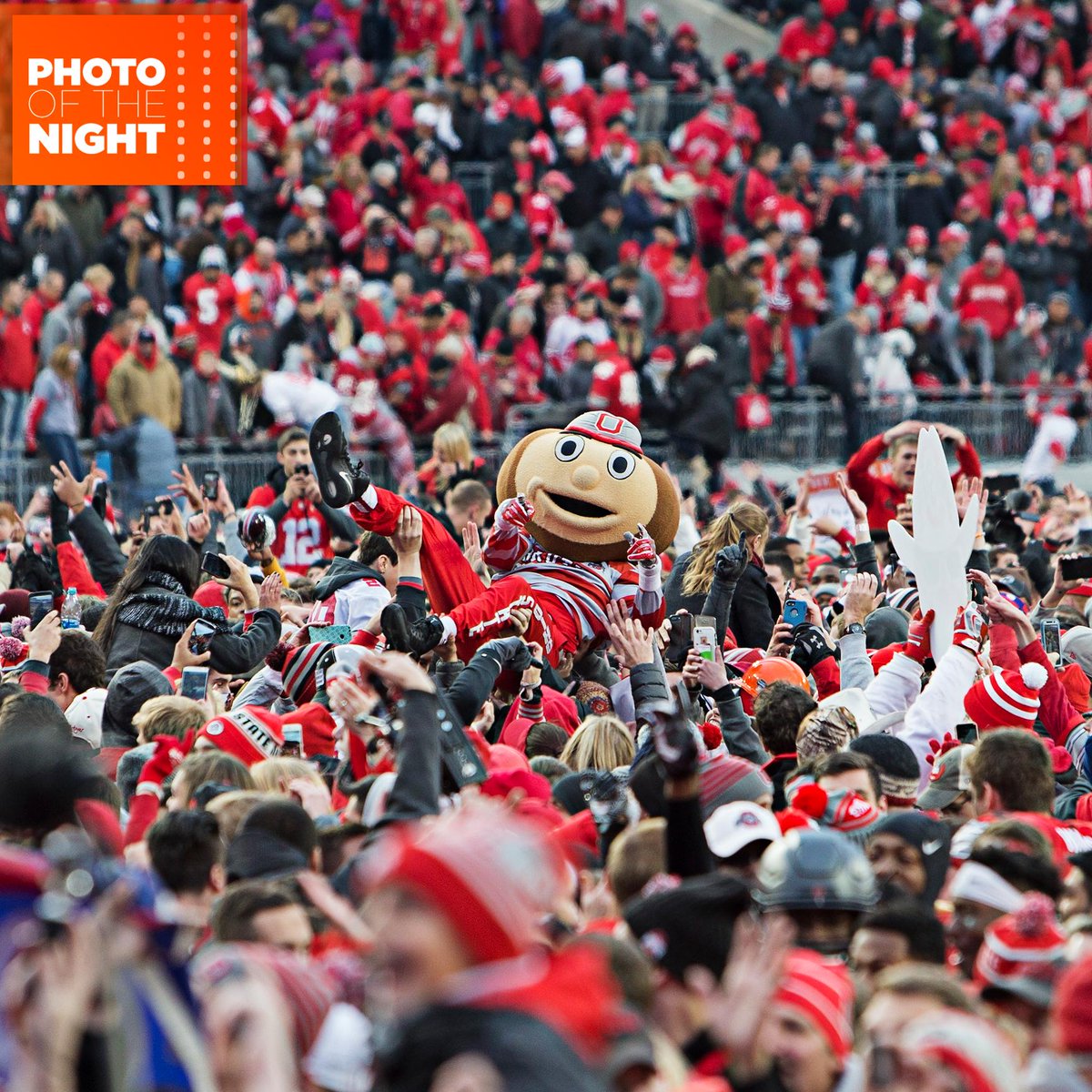 SportsCenter's tweet photo. It's good to be Brutus. #PhotoOfTheNight https://t.co/JhK2eWjrXd