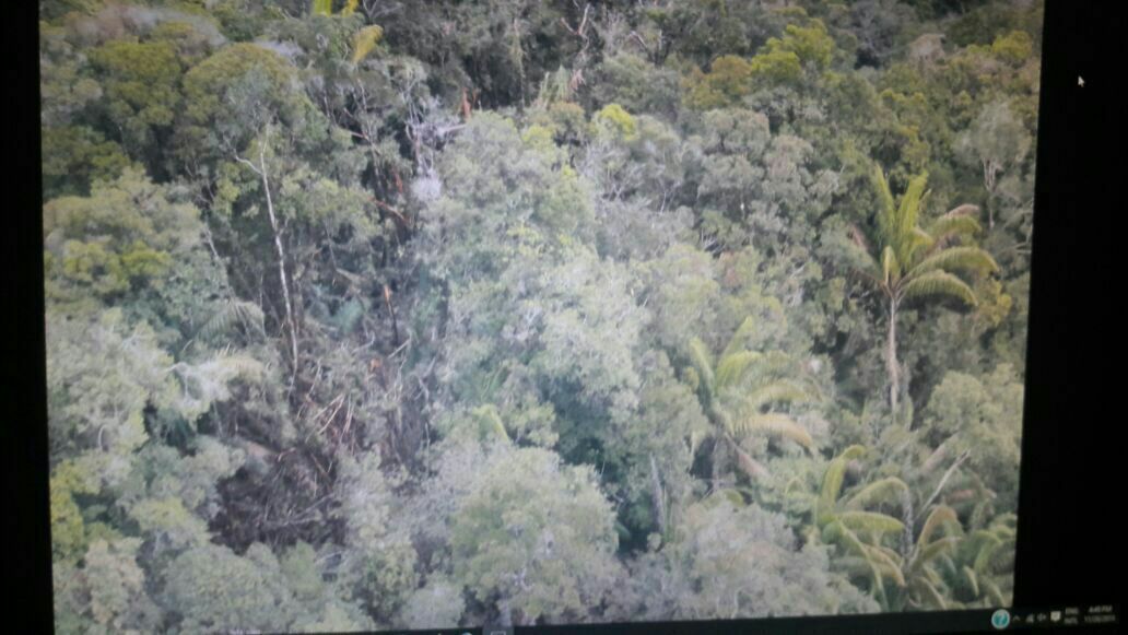 RadioElshinta's tweet photo. LIVE! Kadispenad, Brigjen Fadhilah: lokasi jatuhnya HA-5166 di Jurang Longsulit dan ditemukan 1 org korban msh hidup atas nama Lettu Abdi. https://t.co/59SCaTDLRd