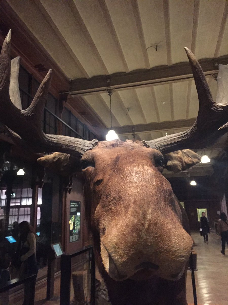 Borychanski's tweet photo. When you accidentally open up your front-facing camera #galeriedelevolution https://t.co/UX3tE1eut0