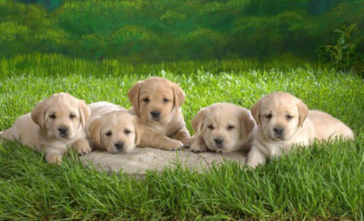 GArtmus's tweet photo. @promiseme0806 Have a nice Sunday my friend 💋💋🌹 https://t.co/FvdUAcAJwk