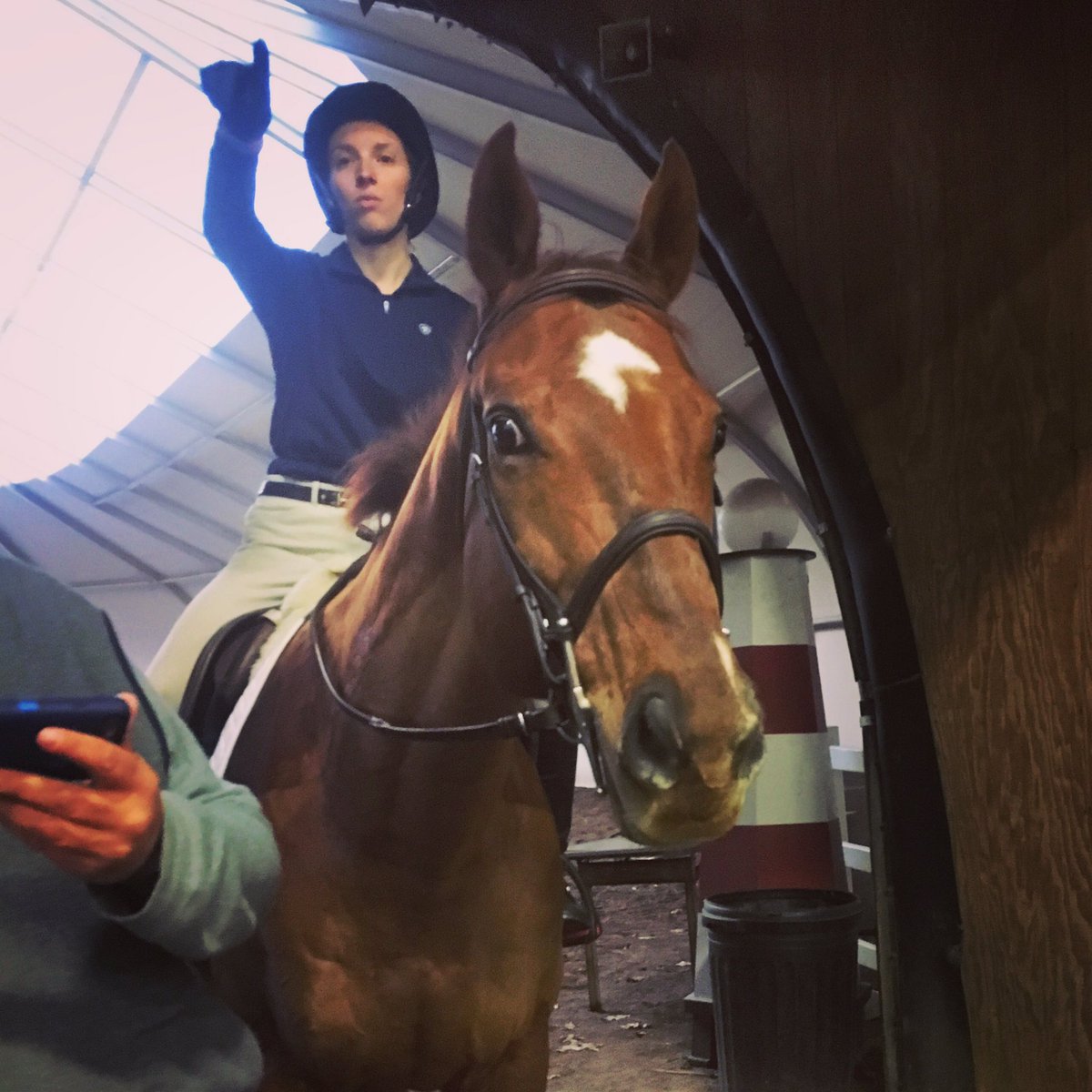 jennanicole126's tweet photo. Learning your next 13 jumps in less than 3 min. #someonegetthatgirlagps #jesustakethewheel #jumperproblems #ottb #equestrianproblems https://t.co/Eiz2aAP4dk