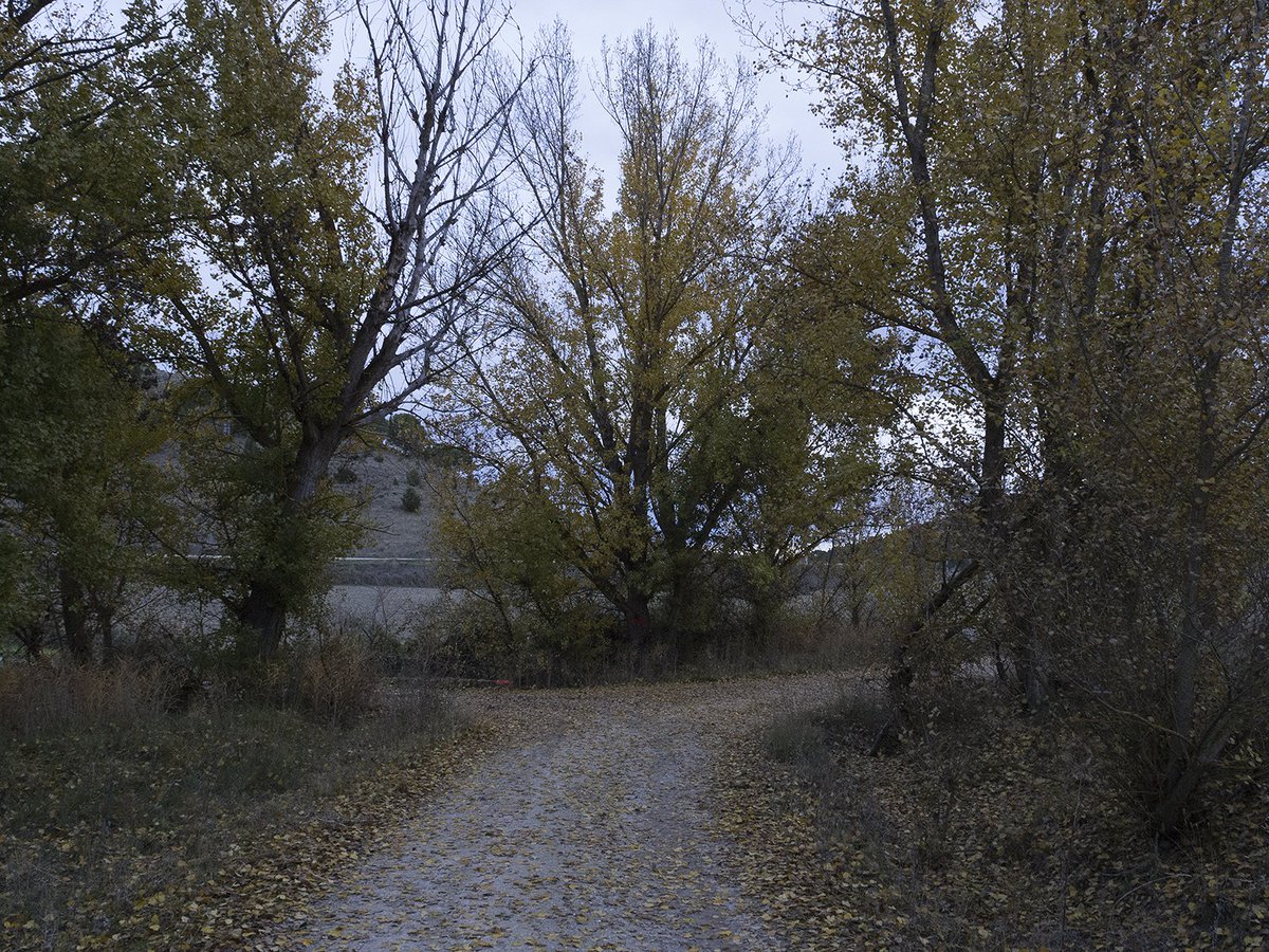 #FotoDelDia #caminos via <a href="/Flash__ion/">Flashion Fotografía</a> bit.ly/2fo03q1