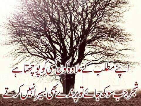 lubnaarslan's tweet photo. https://t.co/KUub4vK0CJ