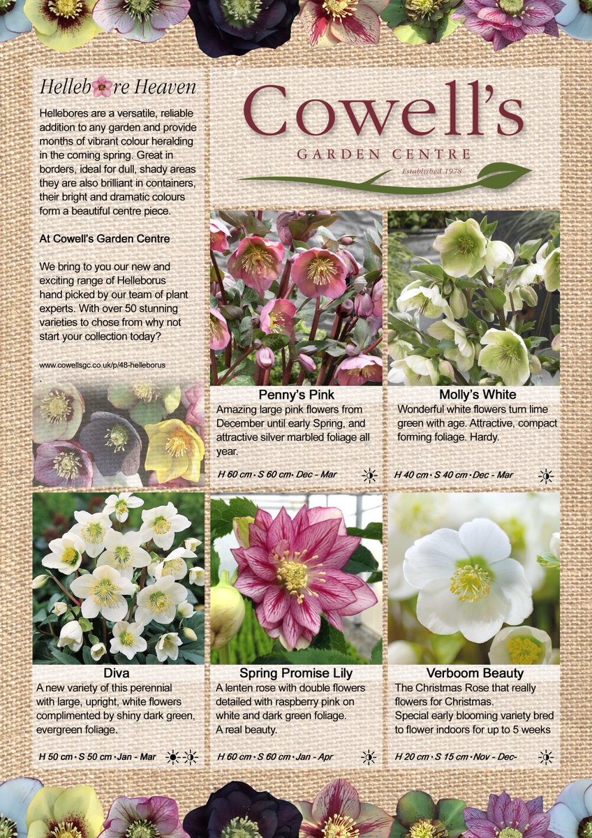 Did you know we have one of the largest ranges of Hellebores in the North East? Check out some new additions to our range. #HelleboreHeaven
