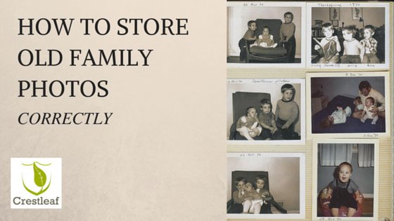 Crestleaf's tweet photo. 5 Simple Steps to Storing Old Family Photos Correctly: https://t.co/twgRIUR7u7 #Genealogy #FamilyHistory https://t.co/f3ql26a6yV