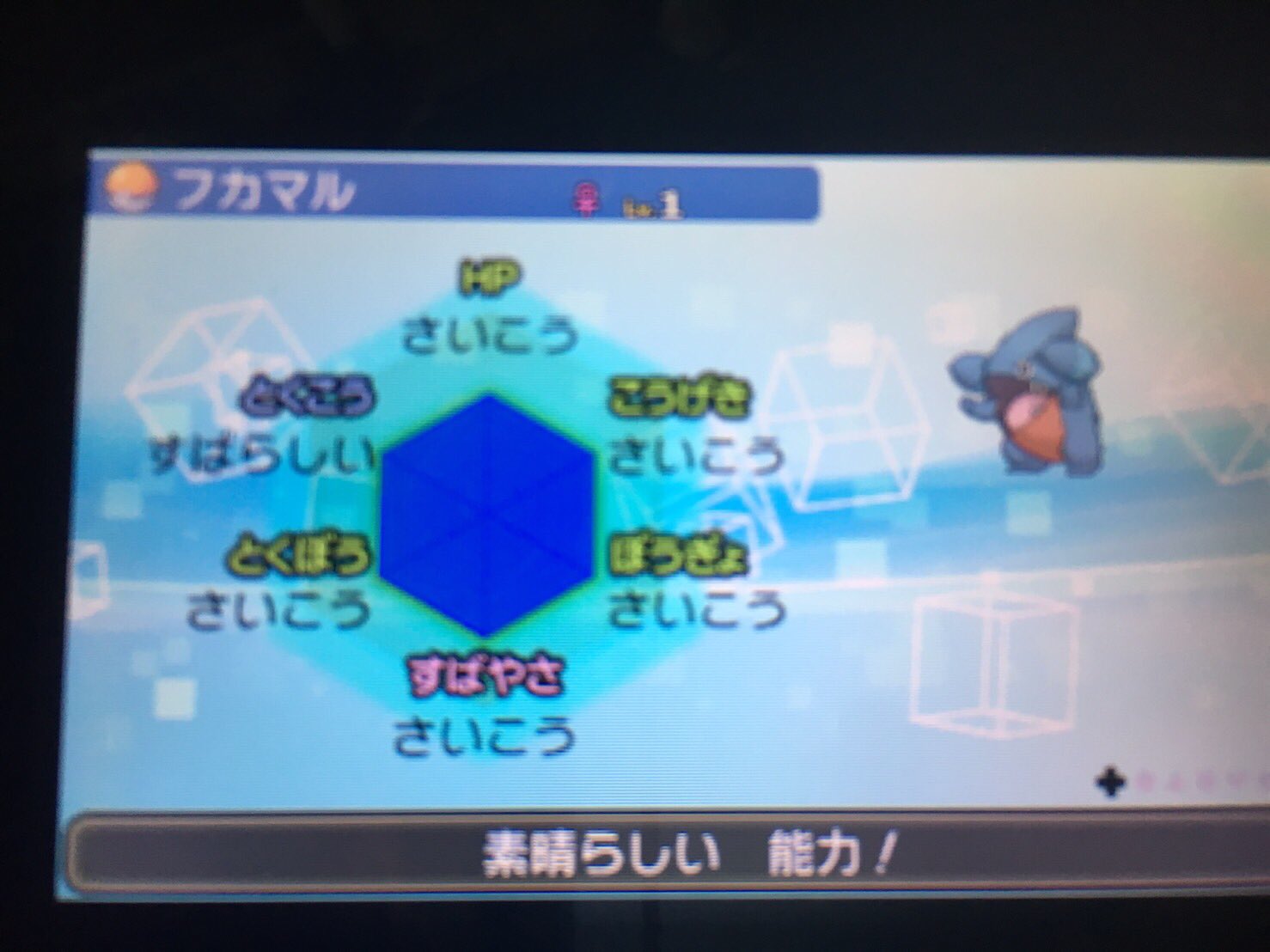 くま Kuuuuumaaaaa3 Twitter