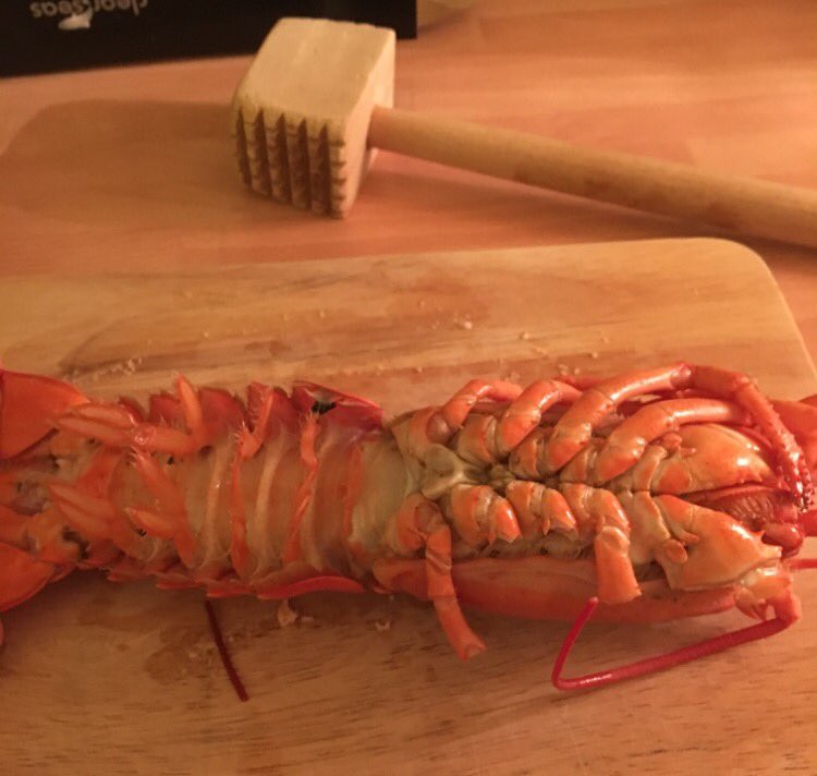 Jenster13's tweet photo. It was my job to prepare some lobsters for a party. I ordered pizza. I'm now a vegetarian. #poorsebastian #lookslikethealienthing #mademesad https://t.co/L2y1Q330EJ