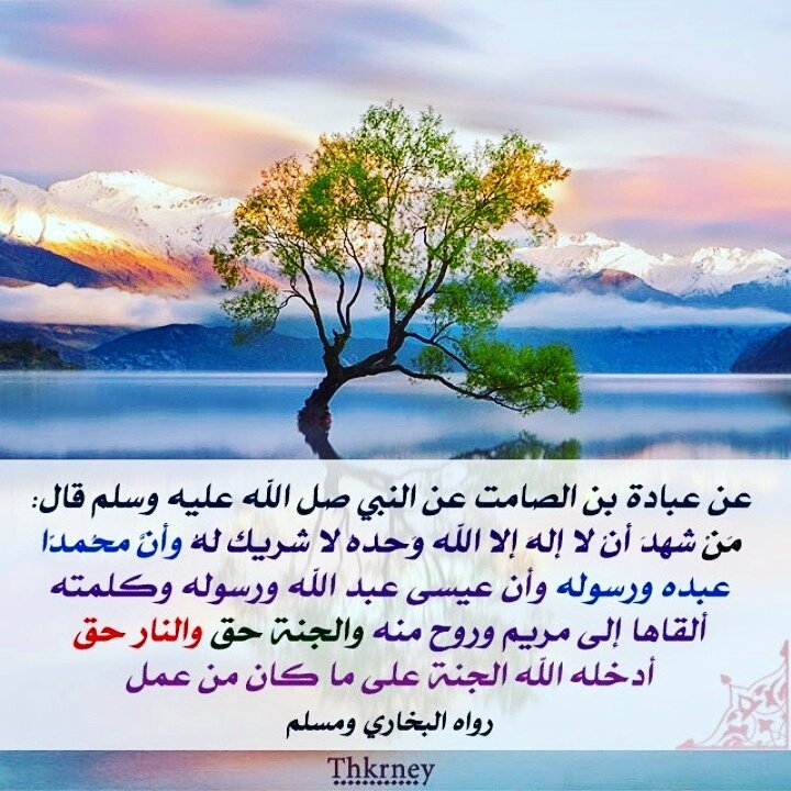 sameerh908 tweet picture