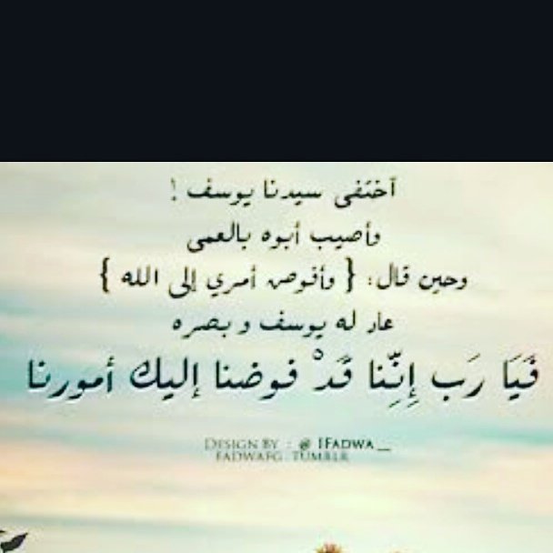 sameerh908 tweet picture