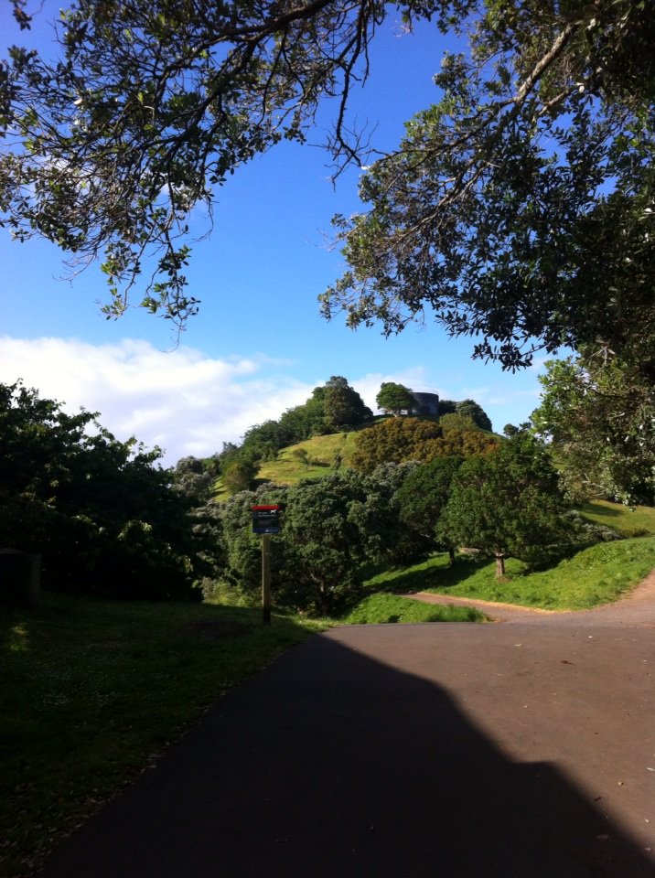 nickypellegrino's tweet image. Started my week with an early morning volcano walk #bugling