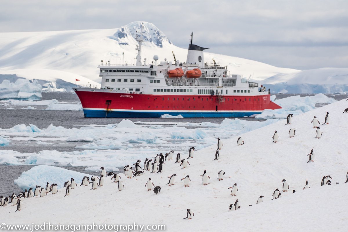 jodihanagan's tweet image. A tiny taster for now as way too many images. Welcome to #Antartica @g_expedition with huge thanks to the awesome Team involved