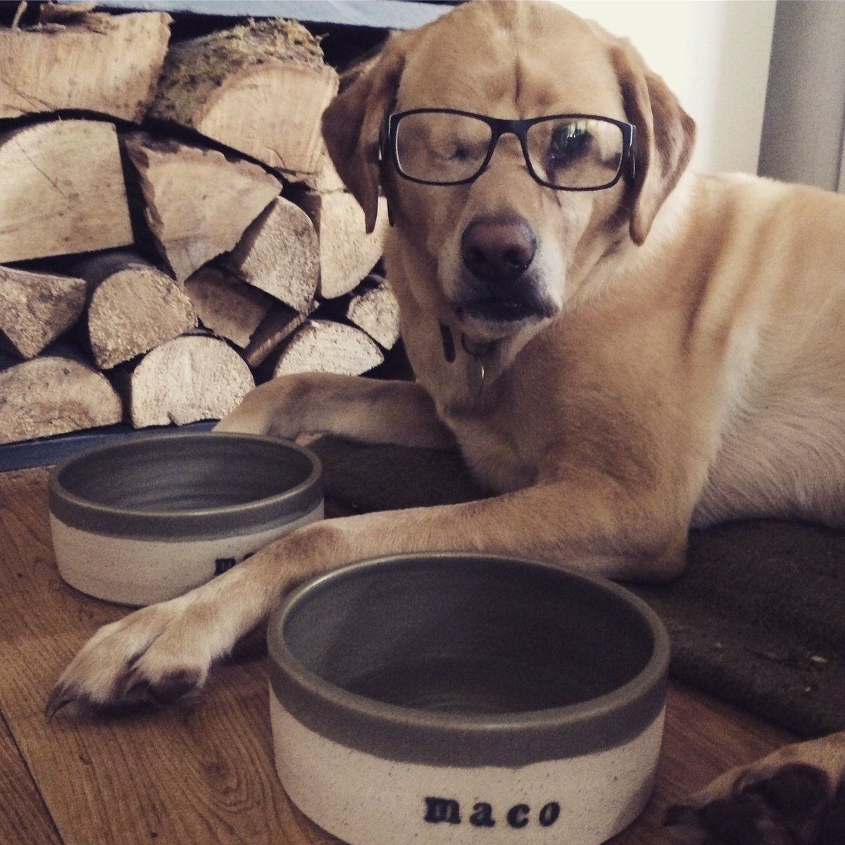 drjgreenwood's tweet photo. Follow for #handmade, individual #ceramic pet food bowls, made to order and personalised with your #pets name!! #UKSmallBiz #HandmadeHour https://t.co/Sby7F5zKo4