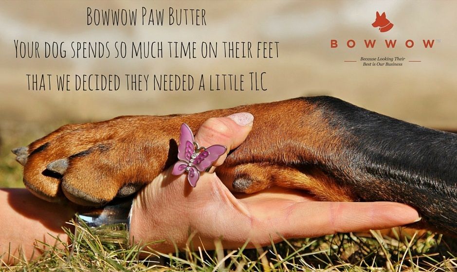 bestofbowwow's tweet photo. Bowwow Paw Butter can prevent your #dog from getting infected paws and it’s 100% natural https://t.co/MXayKdXbqw https://t.co/gEU7lsIQWC