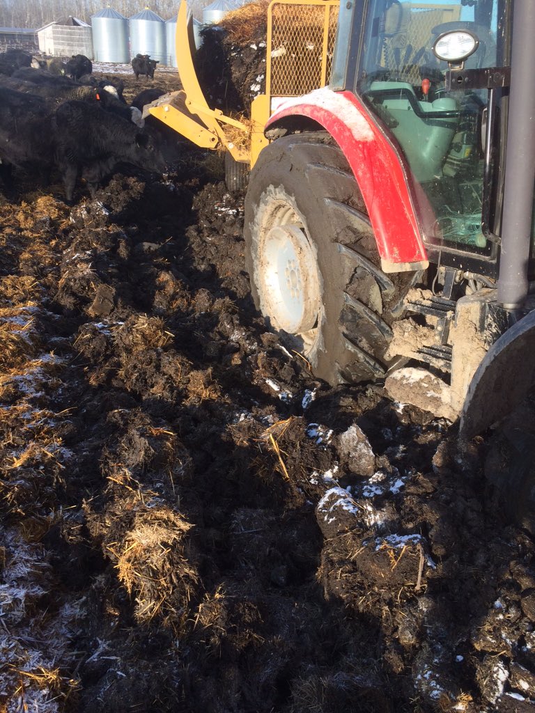 Oh we're so lucky to have such a warm winter..... Where's -20 already.