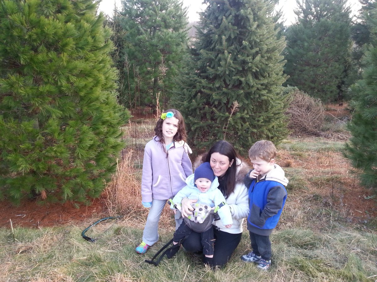 Merry Christmas.... the perfect tree.