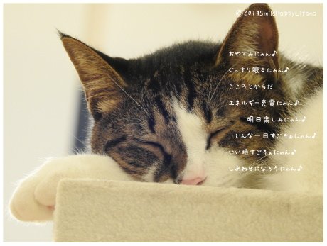Twitterで画像を見る