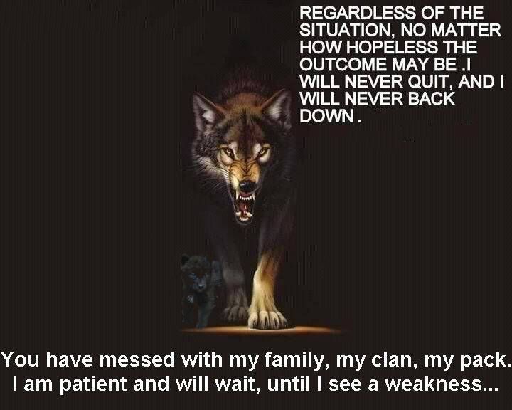 medayrosehunter's tweet photo. #BofR #2ndAmendment #USCon #WakeAmerican I tolerate your beliefs don't bring your problems here and never use my country my laws against me. https://t.co/BqBzL3P4oj