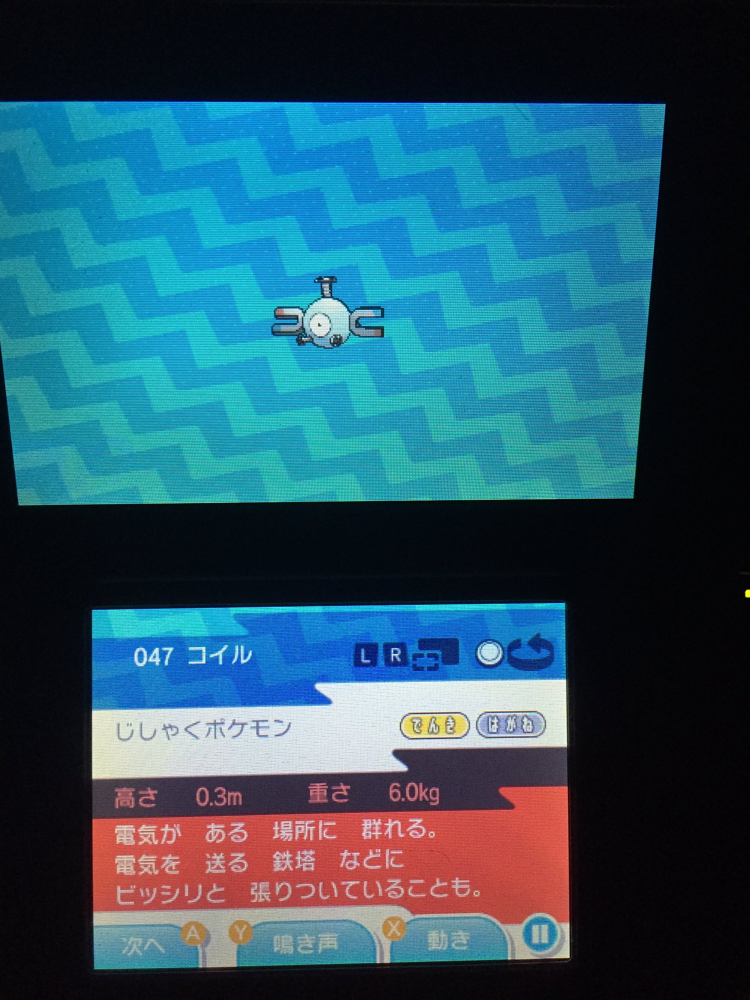 ドジイカぬしちゃん V Tvittere コイル じしゃくポケモン 電気を好むところは初代ポケモンでもその描写はありましたねあの時のコイルから逃げるピカチュウが逃げるの可愛かったですねコイル事件なんかもあったりしてネタがありすぎて困りますですがやはりジバコイルの声
