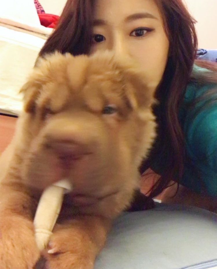 lowqaoa's tweet photo. seolhyun ( + dungchee  ♡) https://t.co/u72nAfLSMO
