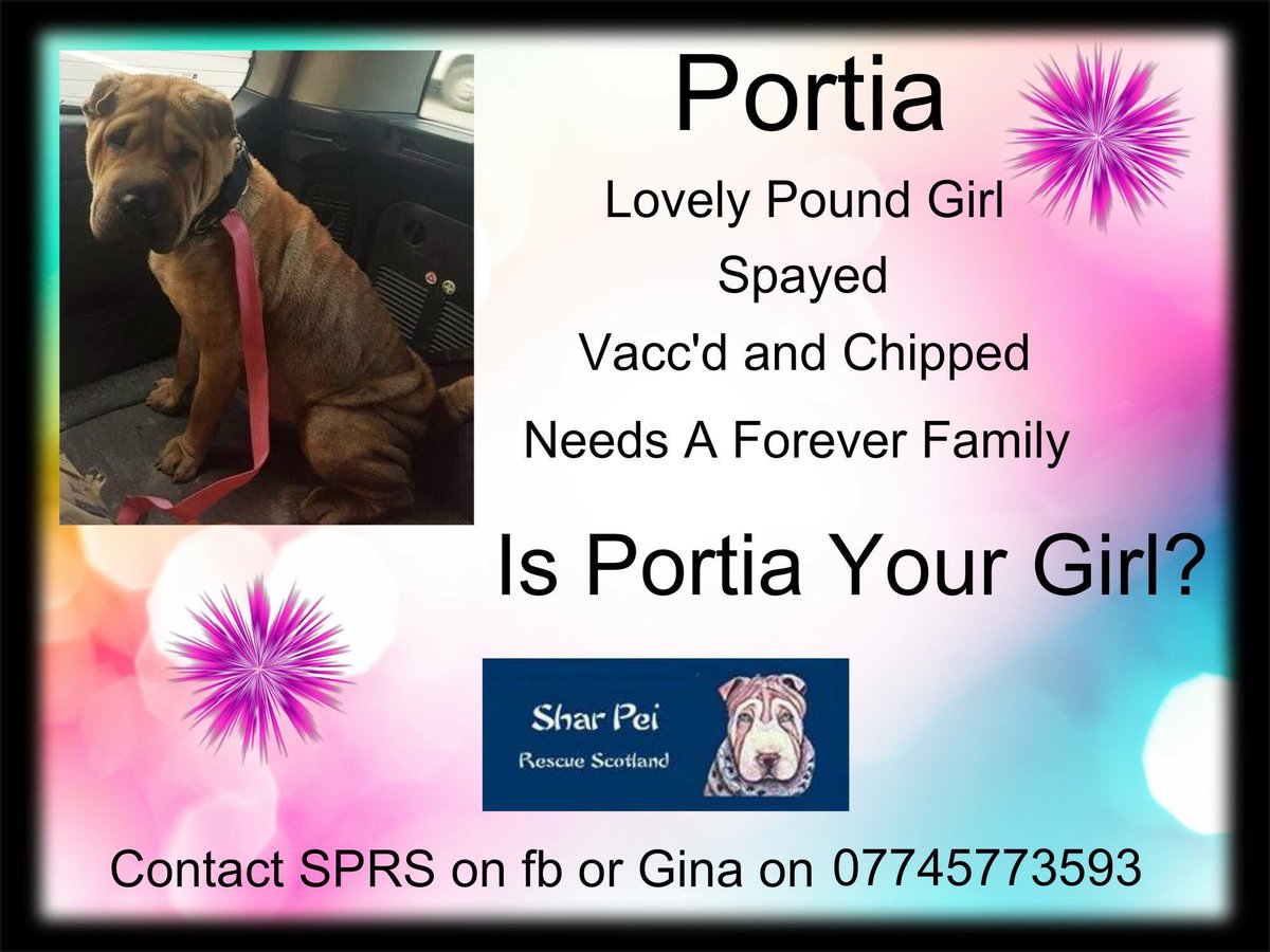 SPRS tweet media