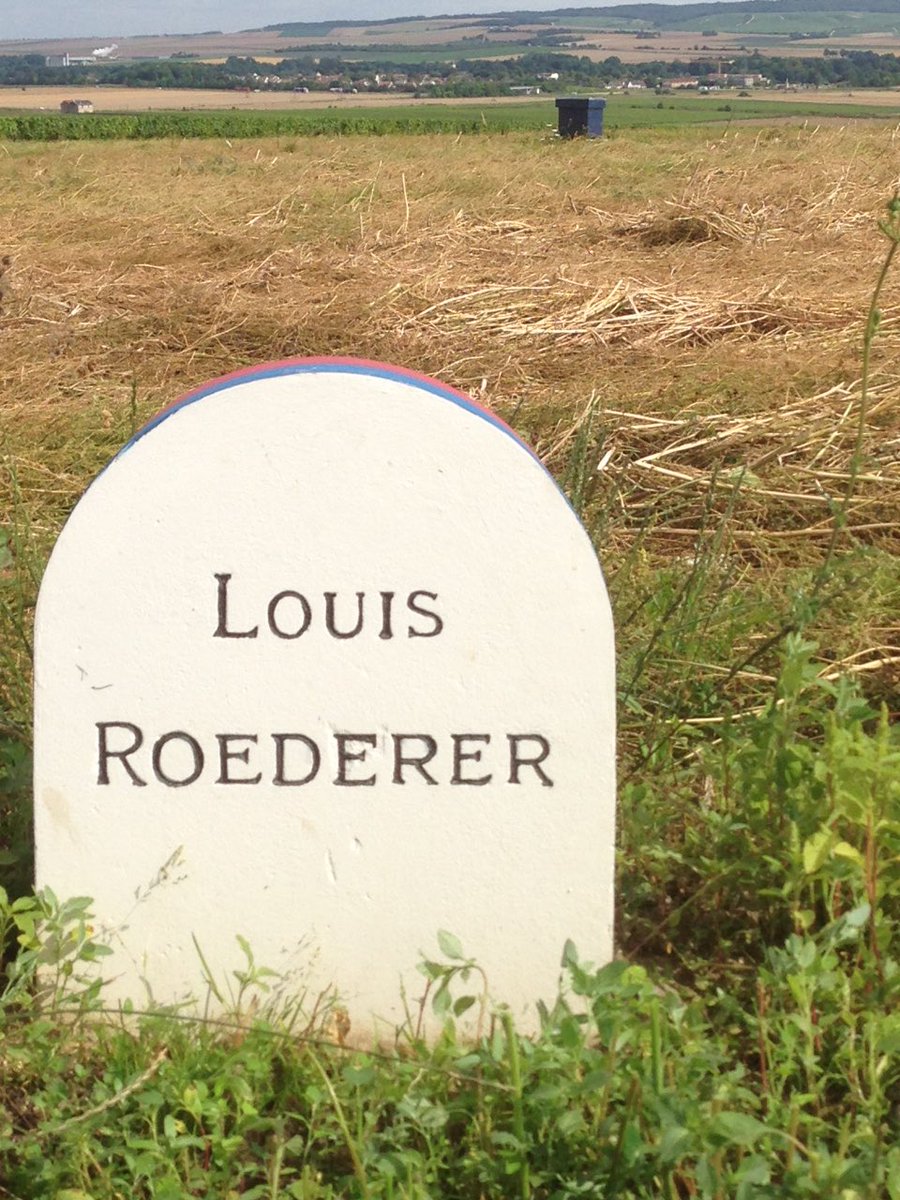 Louis Roederer tweet media