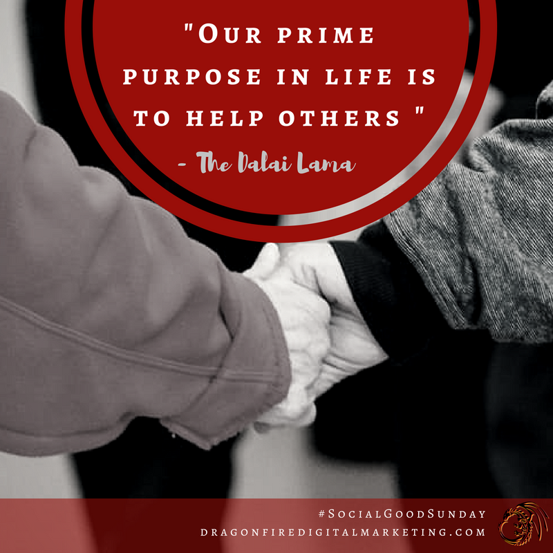 YourDragonFire's tweet photo. #SocialGoodSunday: "Our prime purpose in life is to help others." (-Dalai Lama #quote) We agree! #Socialgood #TeamDragonFire #companyculture https://t.co/Sa6xTldI9X