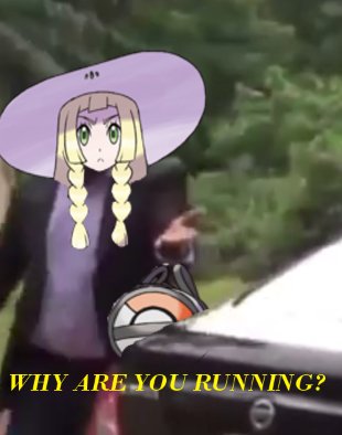 (リーリエ) Lillie (@inthebagnebby) on Twitter photo 