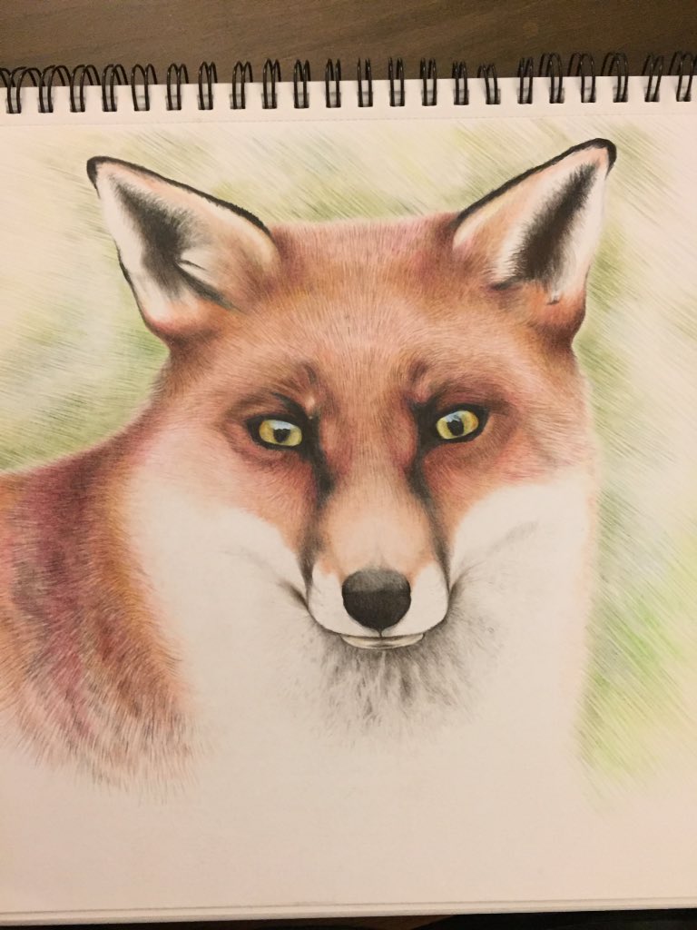 richt3a's tweet photo. @derwentpencils ... Nearly finished my latest drawing using my Derwent artists 👍 https://t.co/INNC3AxHqI