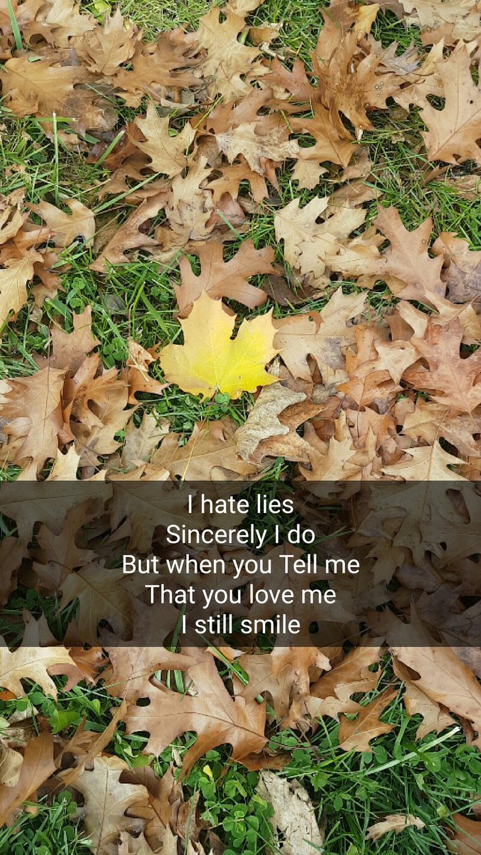 MegaReuniclus's tweet photo. 🍁🍁🍁 https://t.co/Nu00SRDIcj