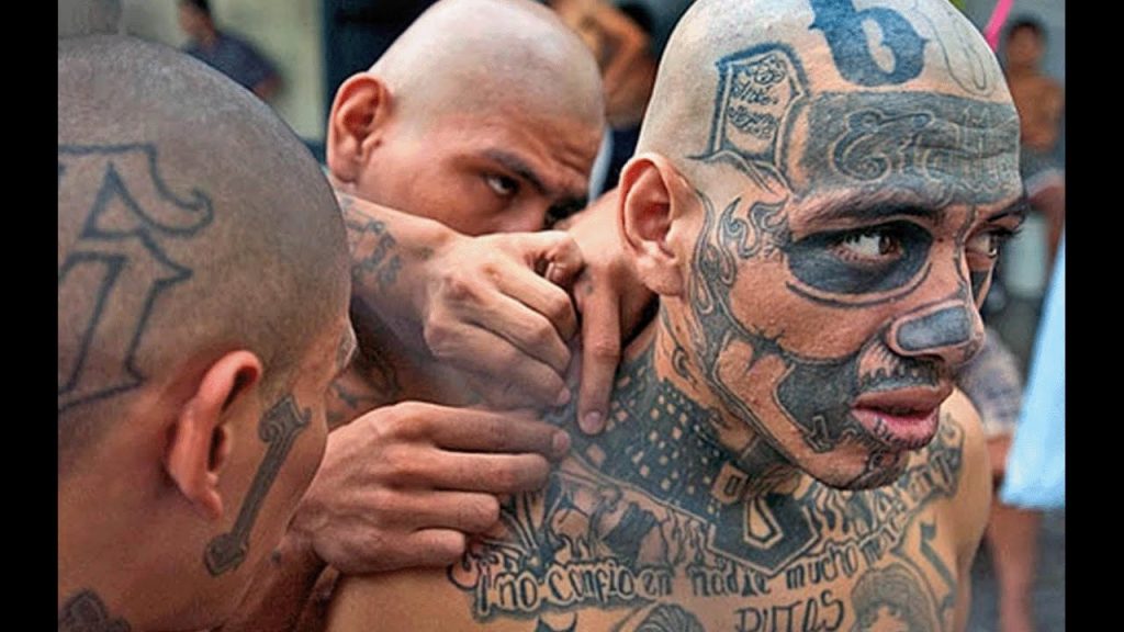 TubeFear's tweet photo. Decoding The Hidden Meaning Behind Russian Prison Tattoos || National Geographic ... - https://t.co/B9PQpOLBCY #DrugsDocumentary https://t.co/9Q0nX2uq1h