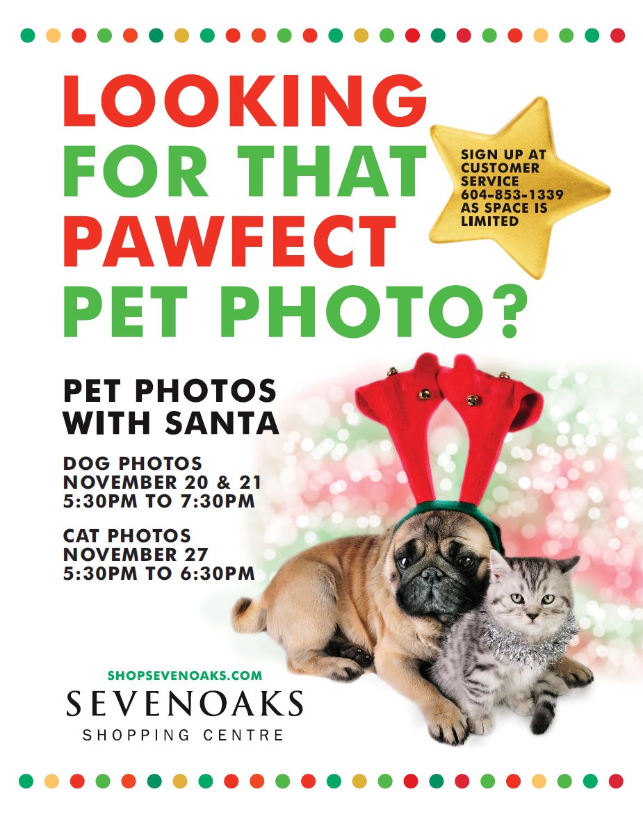 Boulevard_Group's tweet photo. Have you scheduled your cat in for their annual Christmas photo? Happening today @shopsevenoaks. #Abbotsford https://t.co/XbztXMSVPo