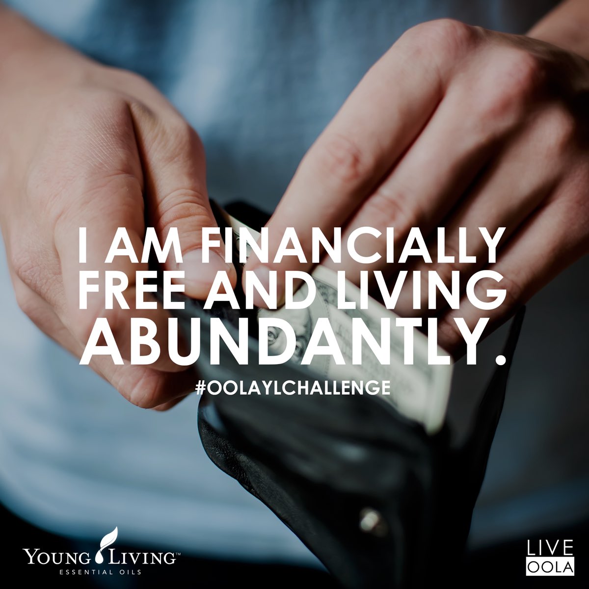 AlexAngermeier's tweet image. #OolaLYchallenge