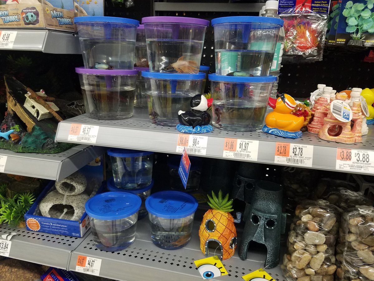 JennCarr76's tweet photo. When will @Walmart #Walmart stop selling fish!!! You're not a pet store and no one ever gives a crap about them! It's sick #stopsellingfish https://t.co/mn6Q3gAu0m