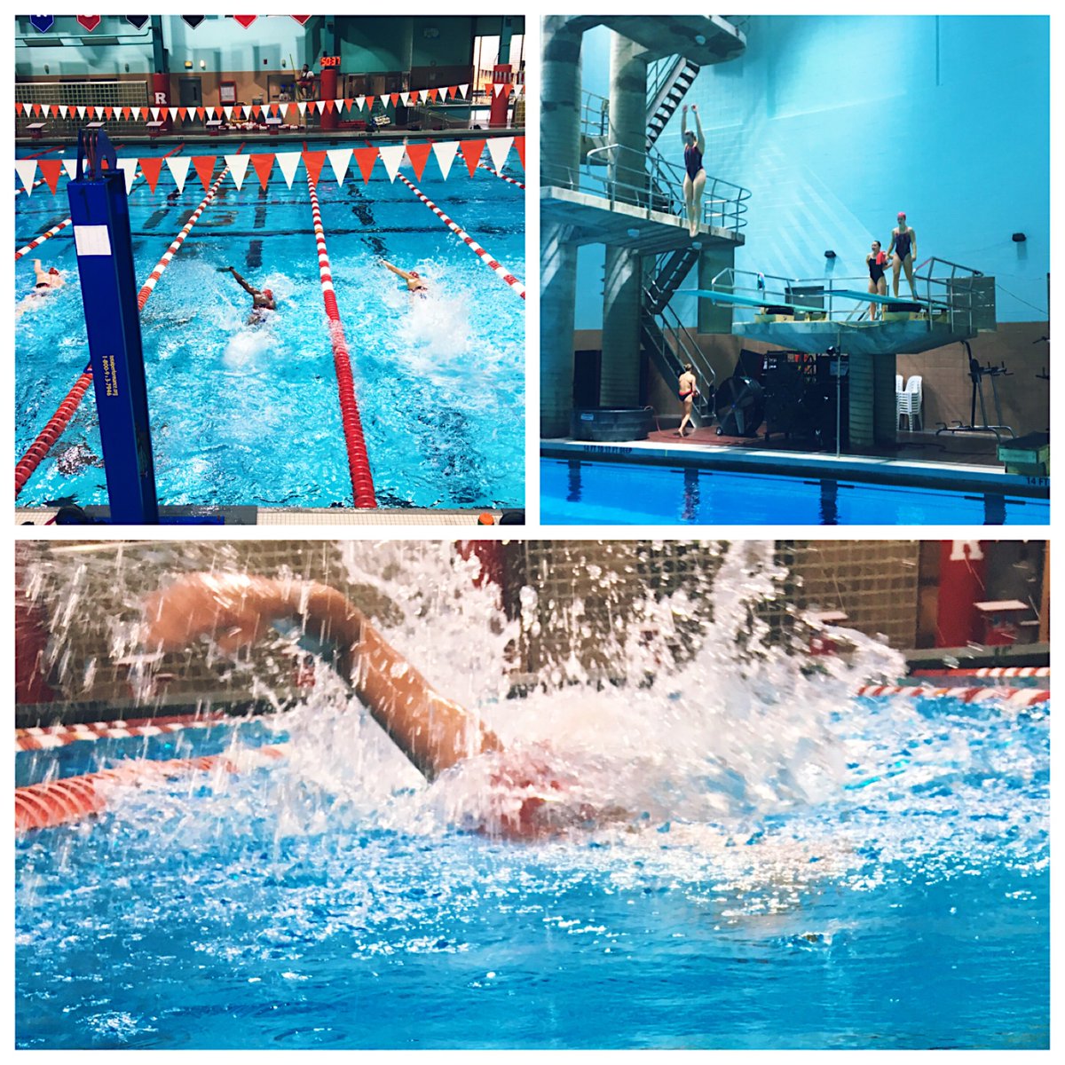 RUSwimDive's tweet photo. Sunday AM at Rutgers. Just us and the pool. Champions are made while it is dark outside and no one is watching! #earneverything https://t.co/41xp8ctFEv