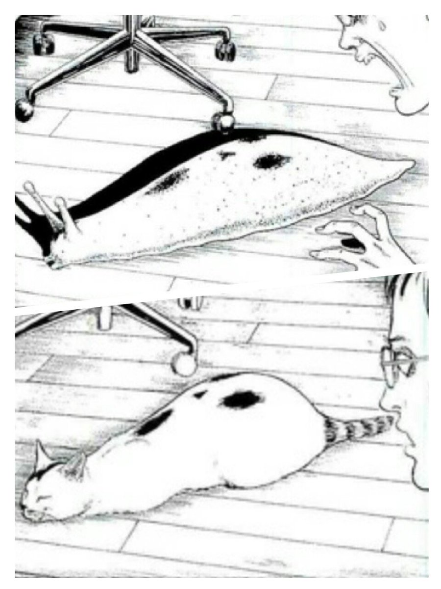 猫ってほんとにナメクジなんじゃないかと思う時がある 
