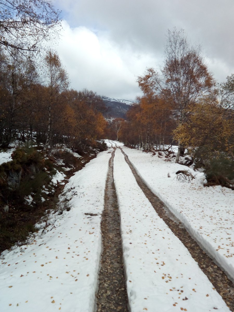AFImprobable's tweet photo. Retazos de la ascension a #CoterolaBrena desde #Engaña #Merindades #Burgos

Nieve y niebla en una ruta otoño-invernal https://t.co/uvgb1cKvHr