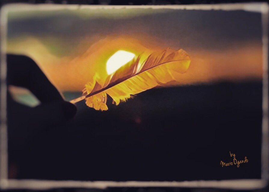 mariO_Ogando's tweet photo. You can cut or injure your wings
but don't prevent your dreams from flying
Podrán cortar o herir tus alas
más no impedir tus sueños de volar https://t.co/4GRXz5354o