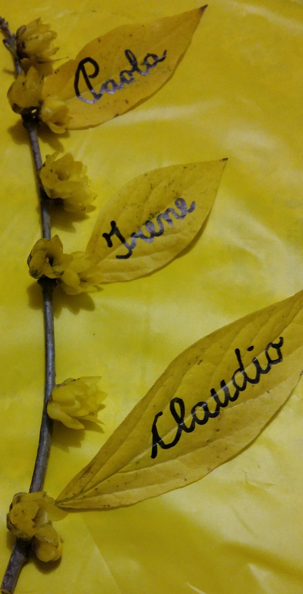 <a href="/GiulioSiamoNoi/">Giulio siamo noi</a> 
#10mesiSenzaGiulio
#10mesiSenzaVeritá#giallopergiulio 
 #Alla famiglia Regeni
che forzaeperseveranza semprevi accompagnino